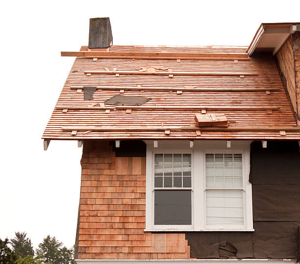 Affordable Siding Repair and Maintenance Services in Monahans, TX